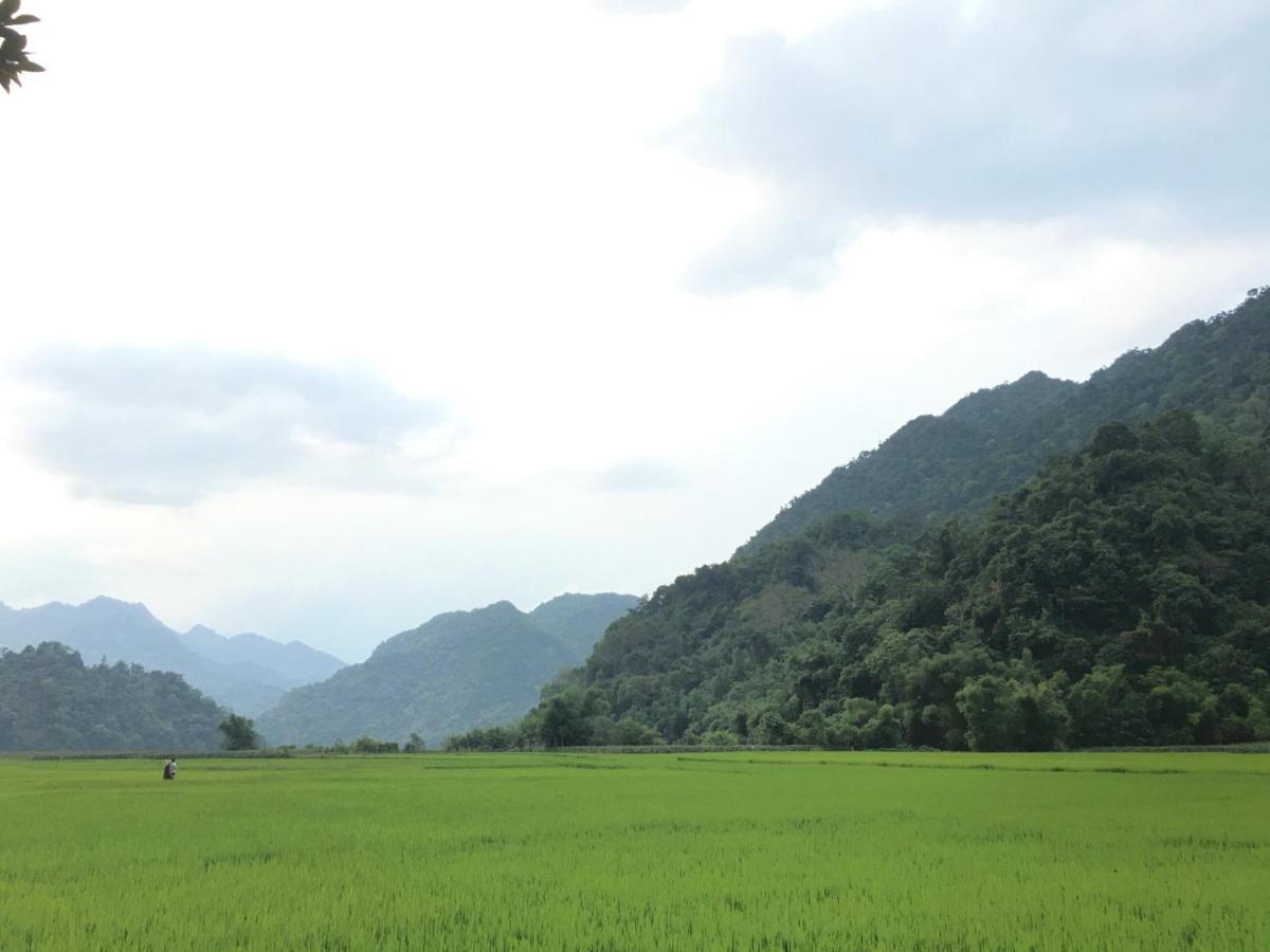 Hoang Quan Homestay Ba Be 外观 照片